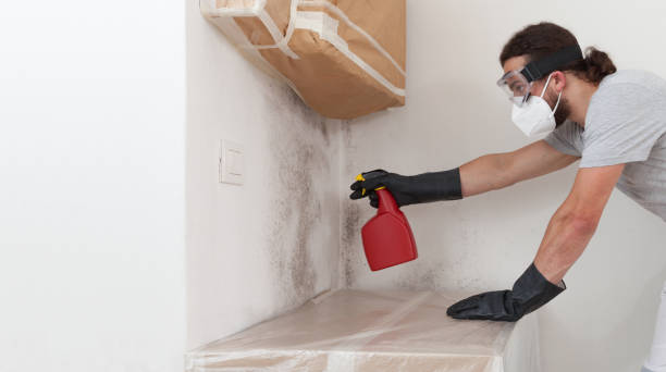 Professional Attic Mold Removal technician working in Pennington, NJ