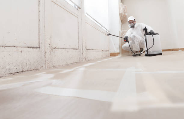 24/7 Emergency Attic Mold Removal experts in Pennington, NJ