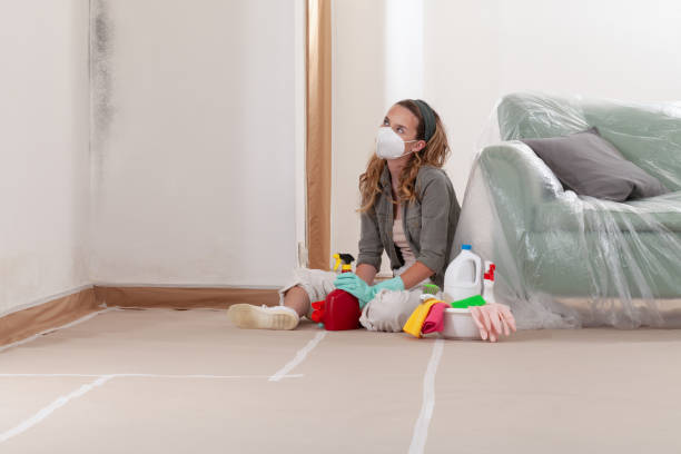 Reliable Attic Mold Removal contractor in Pennington, NJ by WQB Mold Removal