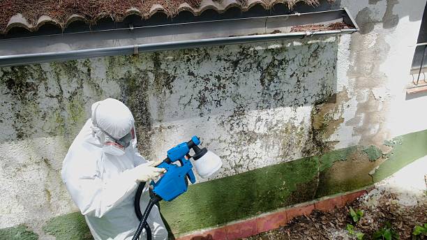 Top rated local Attic Mold Removal specialists in Pennington, NJ